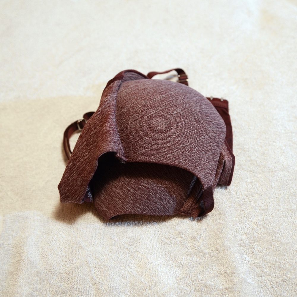 Aerie Bridget Pushup Bra